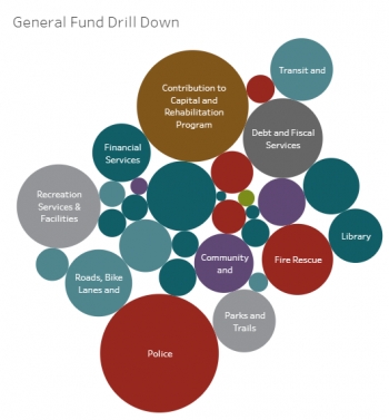 Budget drill down